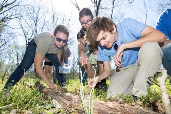 Central African Republic Conservation Jobs 2025