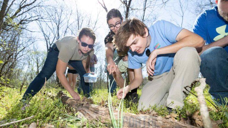 Central African Republic Conservation Jobs 2025