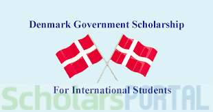 Denmark’s Health Equity Scholars Program 2025 Denmark Equity Scholars Program 2025