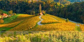 Latvian State Forest Jobs 2025 Latvian State Forest Jobs 2025